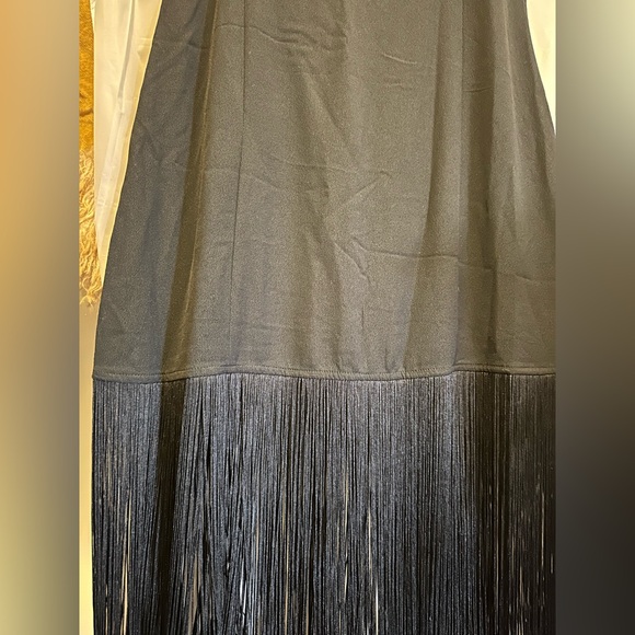 Abercrombie & Fitch Mini Fringe Dress - Picture 9 of 10